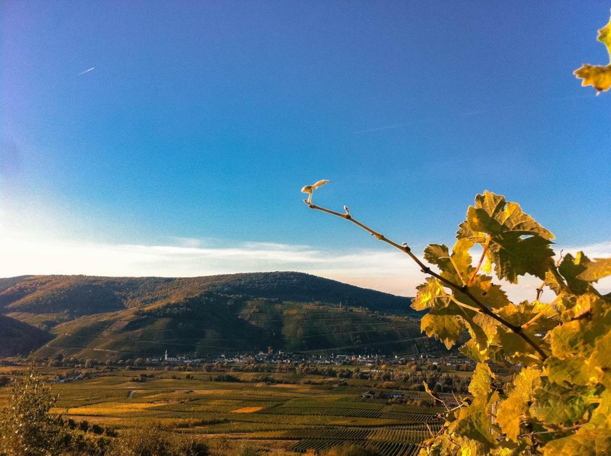 Gaestehaus Weingut Meierer Kesten Exterior foto
